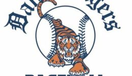 dallas Tigers baseball